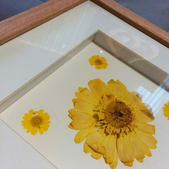 Adorable Yellow Flower Shadowbox Framed Art - Picture 3 of 4